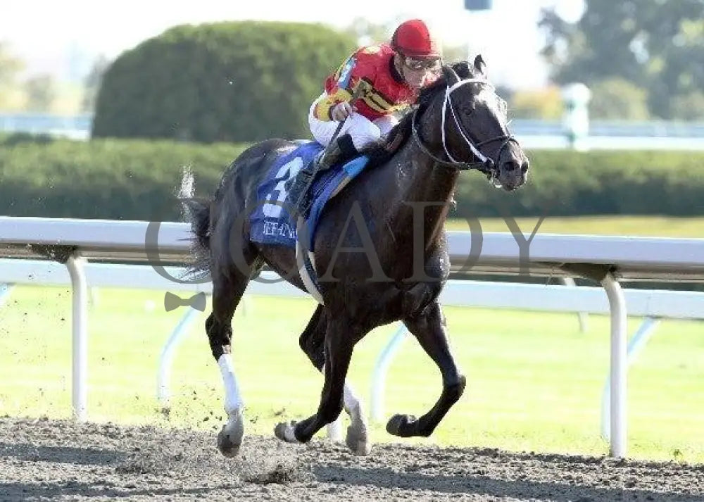 Seven Lively Sins - Proof 3 100711 Race 06 Keeneland