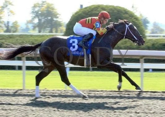 Seven Lively Sins - Proof 4 100711 Race 06 Keeneland