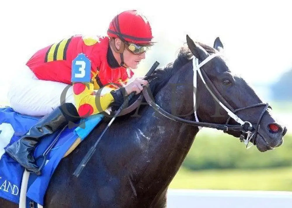 Seven Lively Sins - Proof 5 100711 Race 06 Keeneland