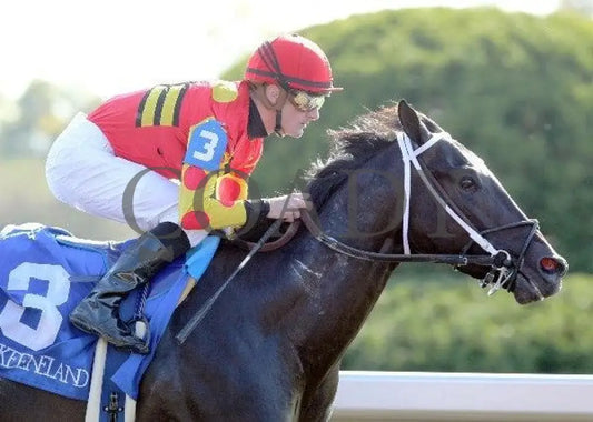 Seven Lively Sins - Proof 6 100711 Race 06 Keeneland