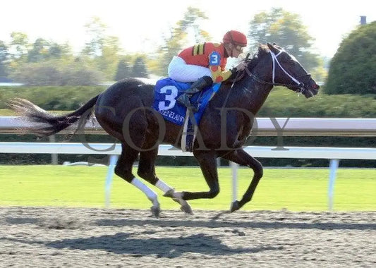 Seven Lively Sins - Proof 7 100711 Race 06 Keeneland