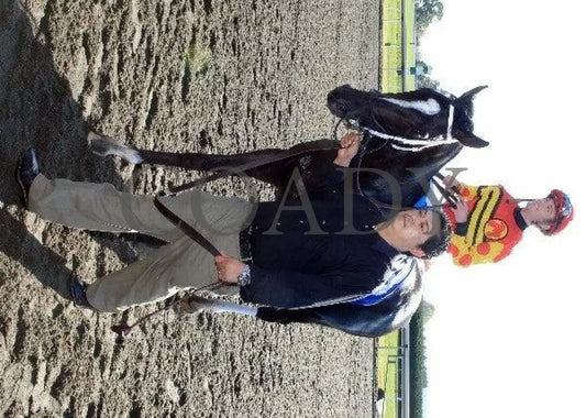 Seven Lively Sins - Proof 8 100711 Race 06 Keeneland