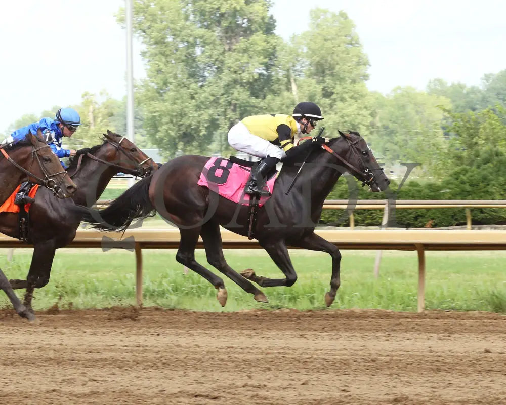 Seven Trumpets - The Good Lord 43Rd Running 07-21-19 R08 Elp Finish 01 Ellis Park