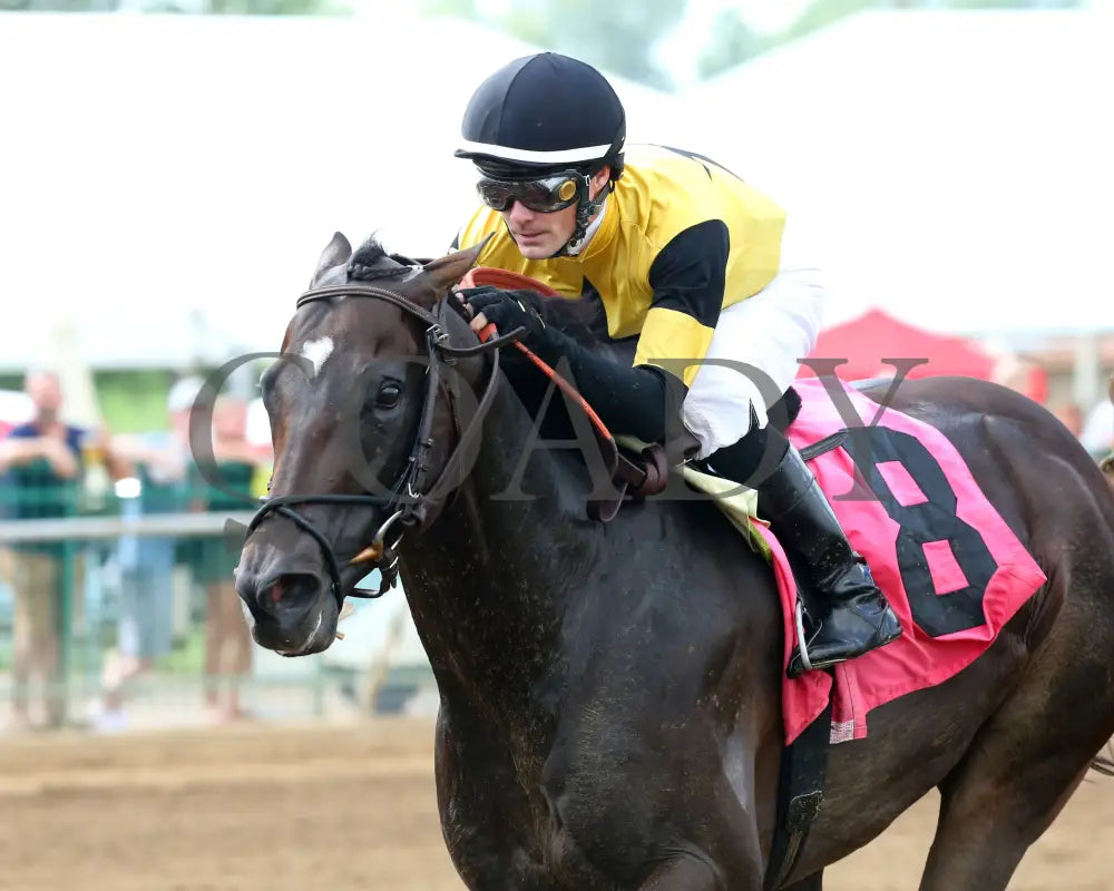 Seven Trumpets - The Good Lord 43Rd Running 07-21-19 R08 Elp Inside Finish 01 Ellis Park