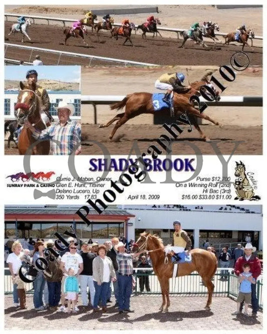 Shady Brook - 4 18 2009 Sunray Park