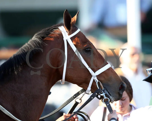 SHAPE NOTE - 111525 - Race 08 - CD - Come Back 02 - Coady Media - Kurtis Coady Photography