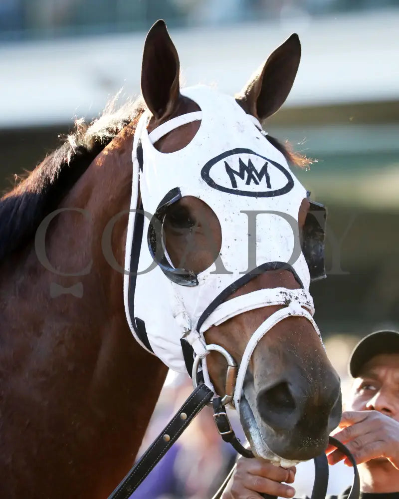SHAPE NOTE - 111525 - Race 08 - CD - Come Back 06 - Coady Media - Kurtis Coady Photography