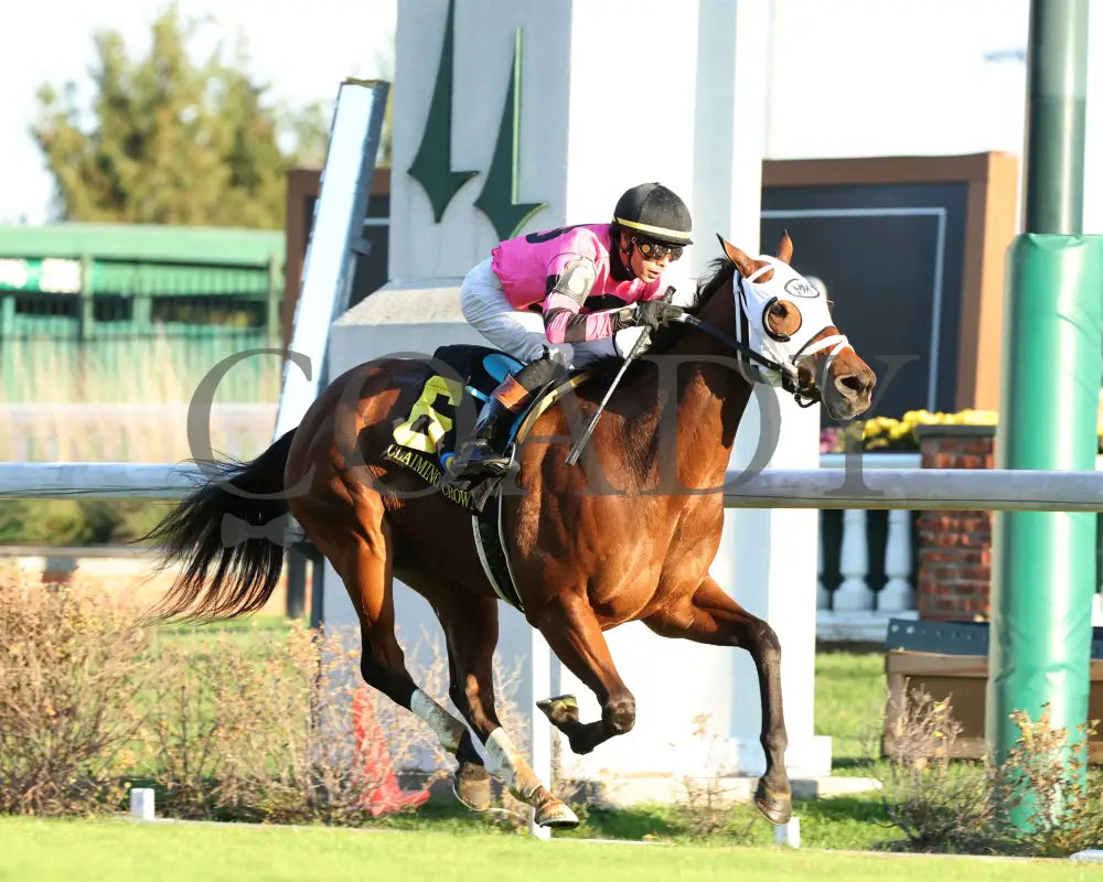 SHAPE NOTE - 111525 - Race 08 - CD - Finish 02 - Coady Media - Kurtis Coady Photography