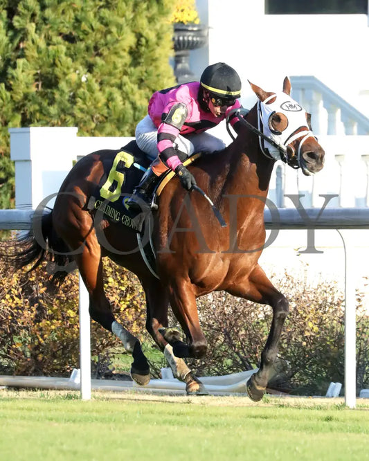 SHAPE NOTE - 111525 - Race 08 - CD - Finish 03 - Coady Media - Kurtis Coady Photography