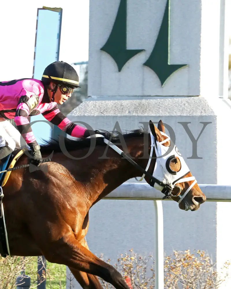 SHAPE NOTE - 111525 - Race 08 - CD - Finish 04 - Coady Media - Kurtis Coady Photography