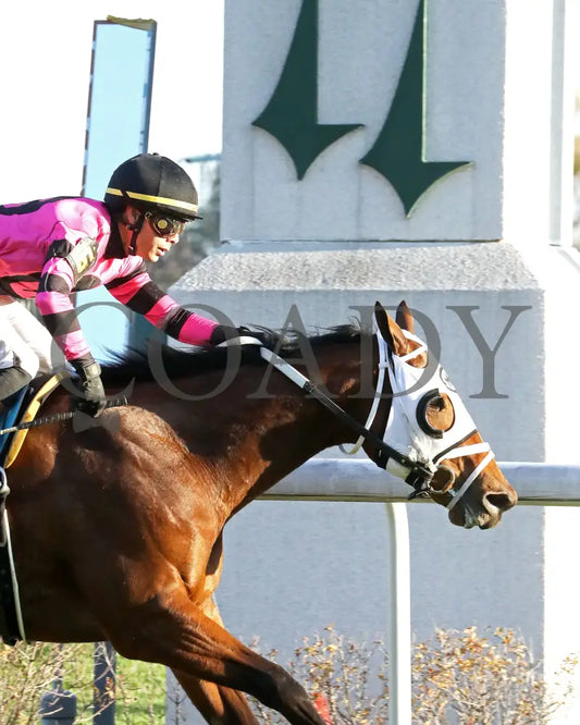 SHAPE NOTE - 111525 - Race 08 - CD - Finish 04 - Coady Media - Kurtis Coady Photography