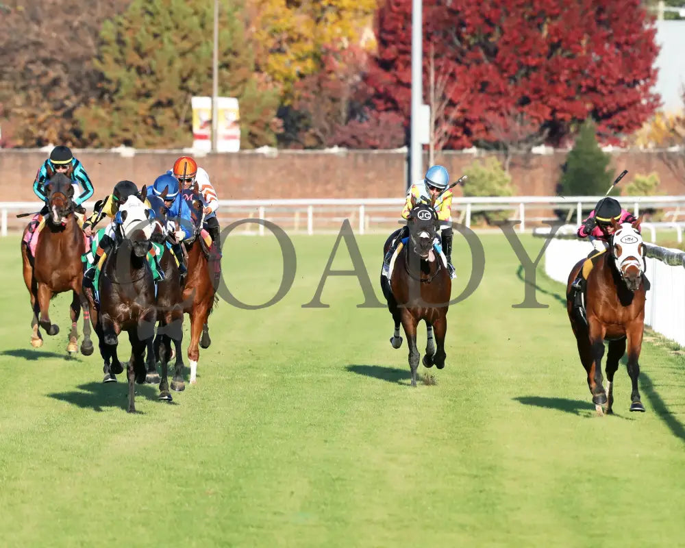 SHAPE NOTE - 111525 - Race 08 - CD - Head On 01 - Coady Media - Kurtis Coady Photography