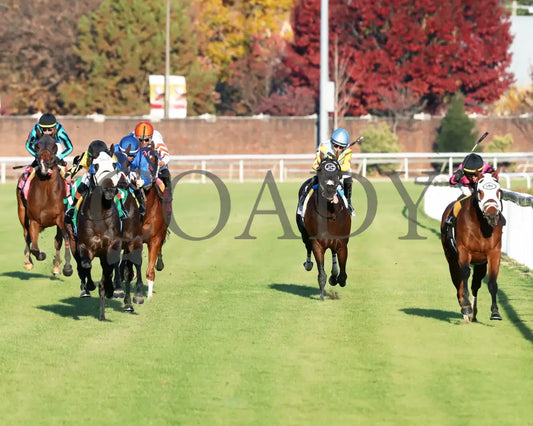 SHAPE NOTE - 111525 - Race 08 - CD - Head On 01 - Coady Media - Kurtis Coady Photography