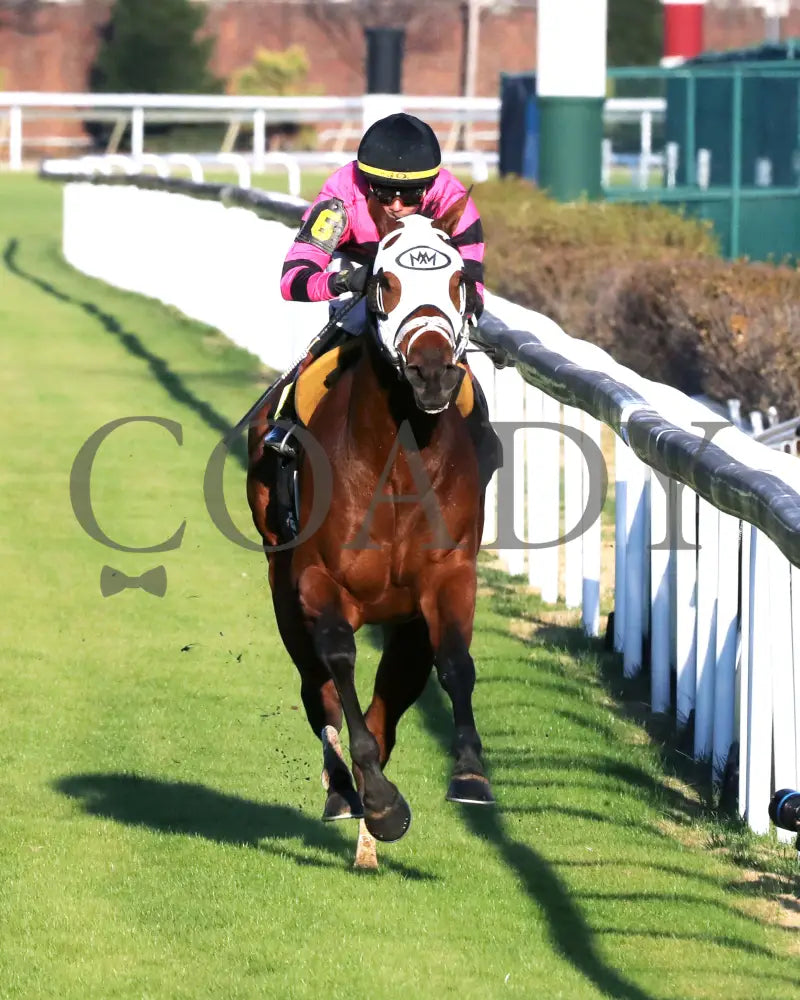 SHAPE NOTE - 111525 - Race 08 - CD - Head On 02 - Coady Media - Kurtis Coady Photography
