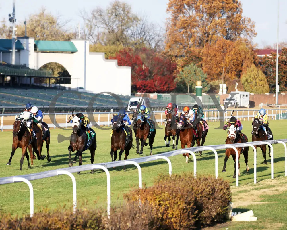 SHAPE NOTE - 111525 - Race 08 - CD - Inside Finish 02 - Coady Media - Kurtis Coady Photography