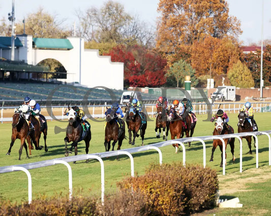 SHAPE NOTE - 111525 - Race 08 - CD - Inside Finish 02 - Coady Media - Kurtis Coady Photography