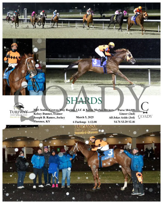 SHARDS - 03-05-25 - R05 - TP Turfway Park