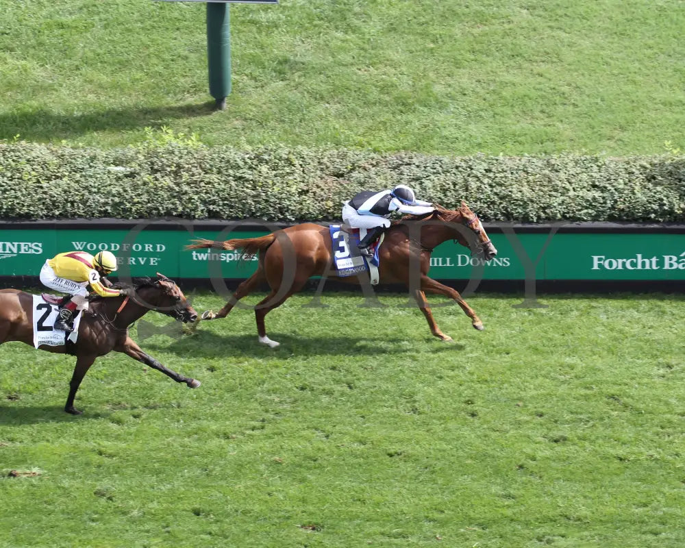 Sharing - The Edgewood G2 36Th Running 09-04-20 R09 Cd Aerial Finish 02 Churchill Downs