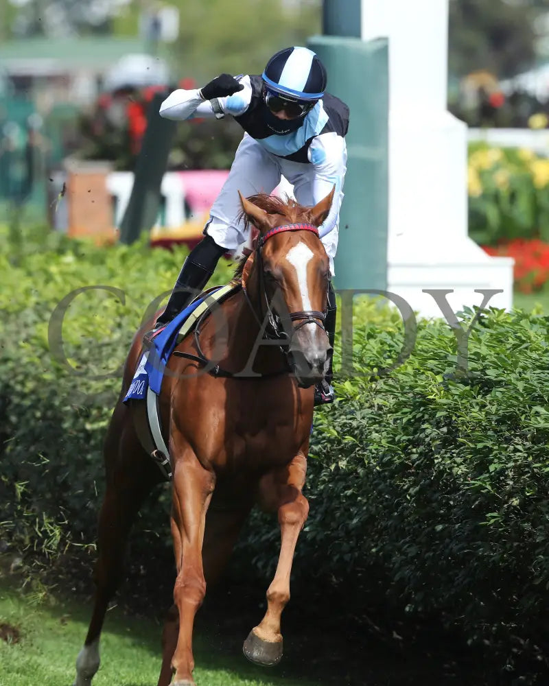 Sharing - The Edgewood G2 36Th Running 09-04-20 R09 Cd Celebration 01 Churchill Downs