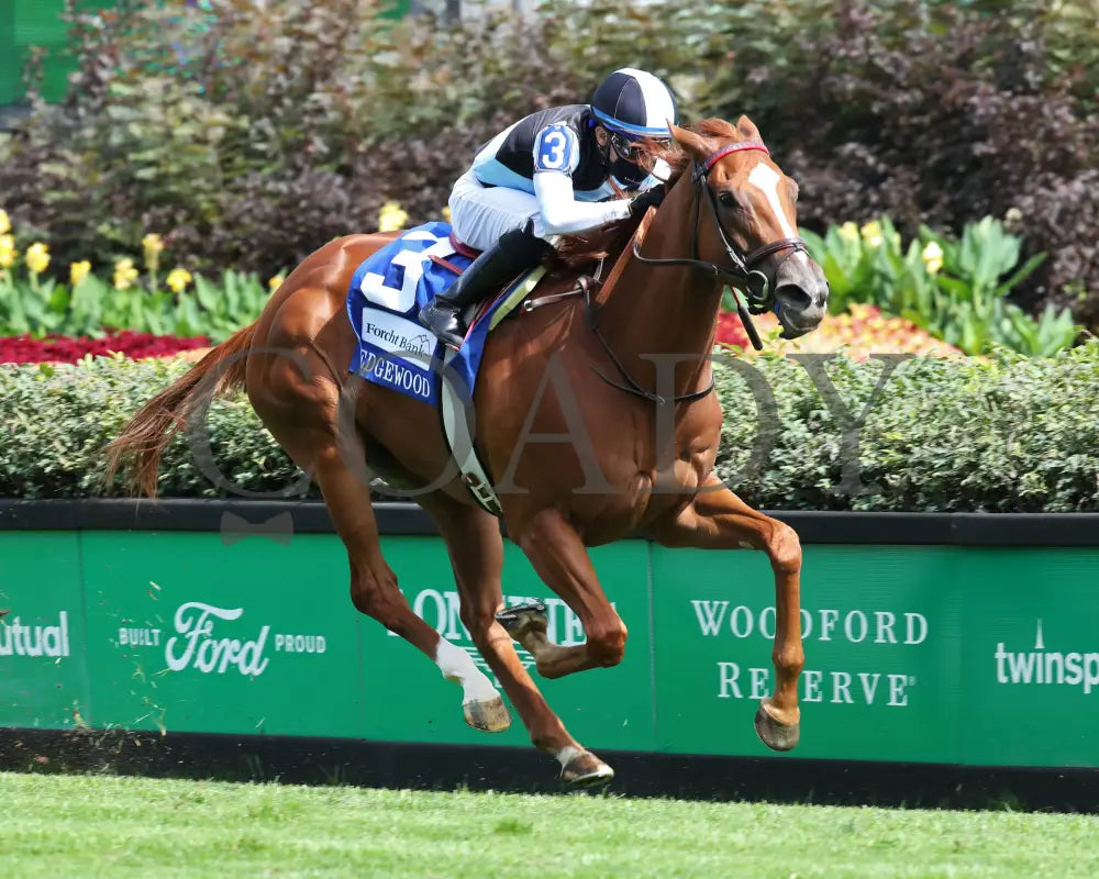 Sharing - The Edgewood G2 36Th Running 09-04-20 R09 Cd Finish 02 Churchill Downs