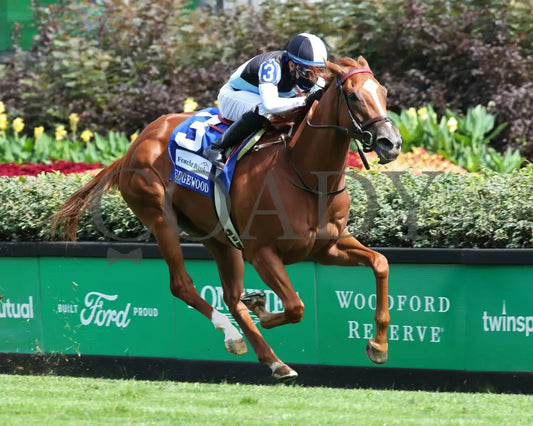 Sharing - The Edgewood G2 36Th Running 09-04-20 R09 Cd Finish 02 Churchill Downs