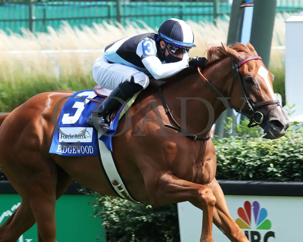 Sharing - The Edgewood G2 36Th Running 09-04-20 R09 Cd Finish 03 Churchill Downs