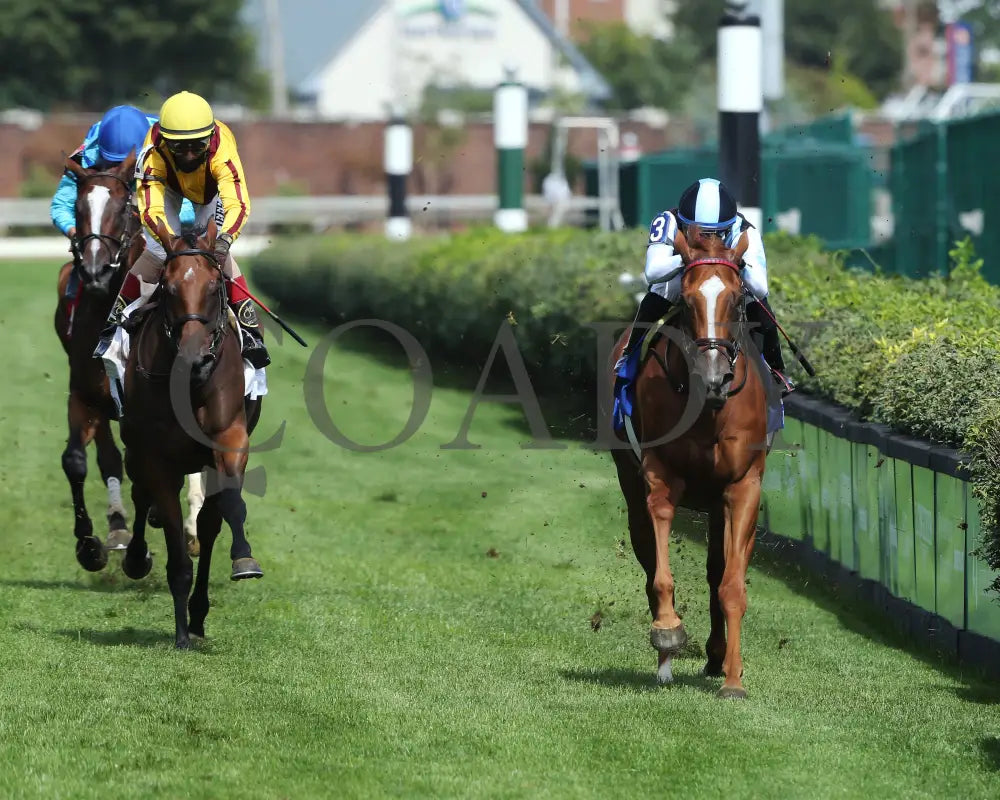 Sharing - The Edgewood G2 36Th Running 09-04-20 R09 Cd Head On 01 Churchill Downs