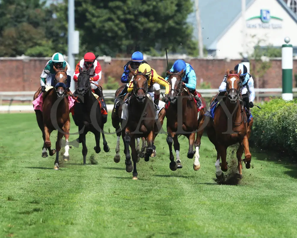 Sharing - The Edgewood G2 36Th Running 09-04-20 R09 Cd Head On 02 Churchill Downs