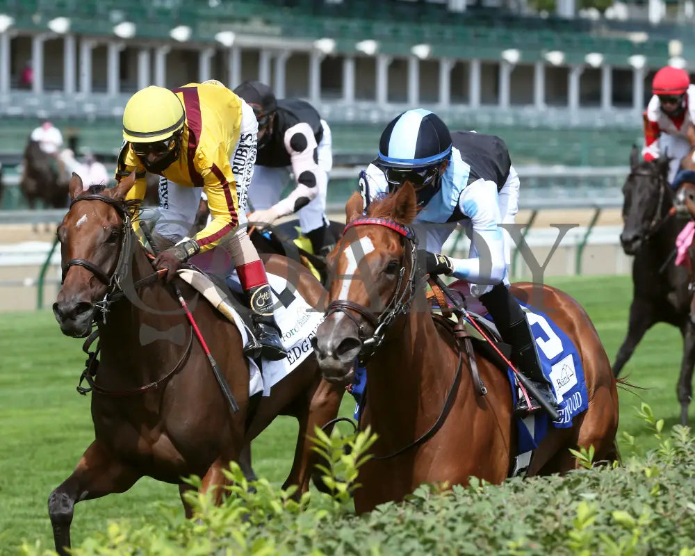 Sharing - The Edgewood G2 36Th Running 09-04-20 R09 Cd Inside Finish 01 Churchill Downs