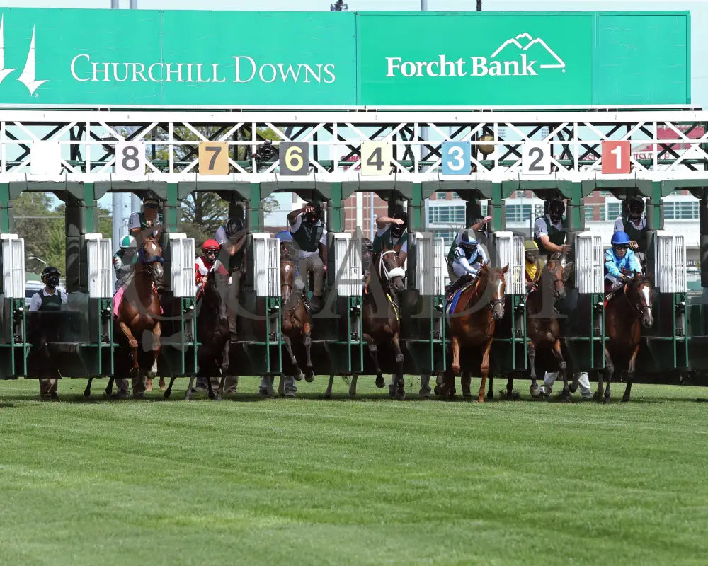 Sharing - The Edgewood G2 36Th Running 09-04-20 R09 Cd Start 01 Churchill Downs