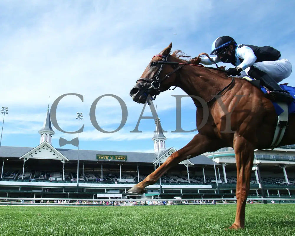 Sharing - The Edgewood G2 36Th Running 09-04-20 R09 Cd Under Rail 02 Churchill Downs