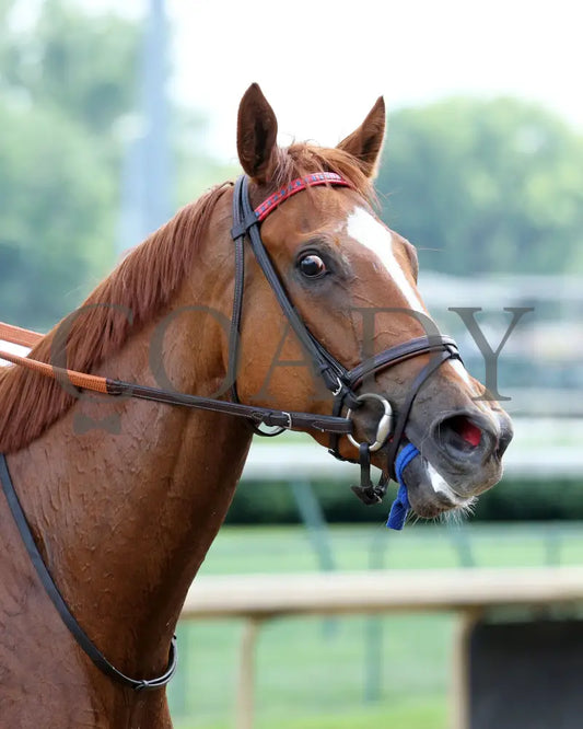 Sharing - The Tepin 1St Running 05-23-20 R08 Cd Come Back 02 Churchill Downs