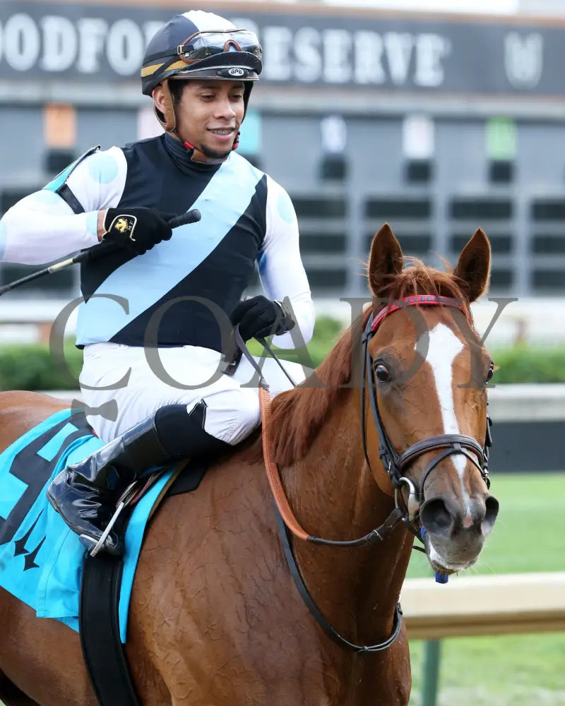 Sharing - The Tepin 1St Running 05-23-20 R08 Cd Come Back 04 Churchill Downs