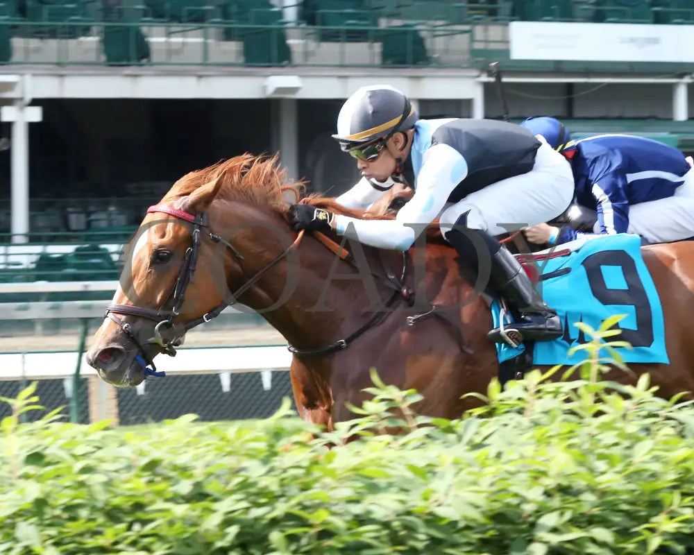Sharing - The Tepin 1St Running 05-23-20 R08 Cd Inside Finish 02 Churchill Downs