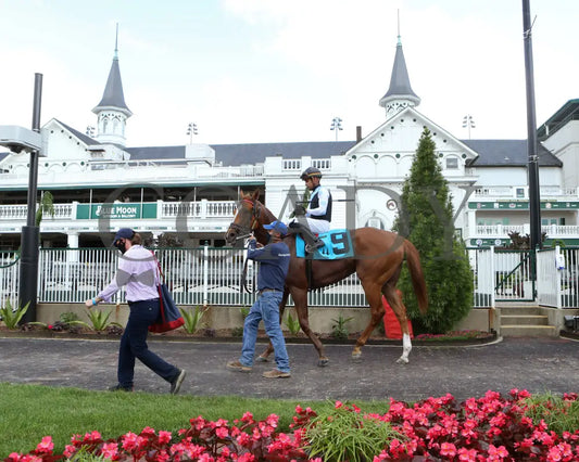 Sharing - The Tepin 1St Running 05-23-20 R08 Cd Paddock 01 Churchill Downs
