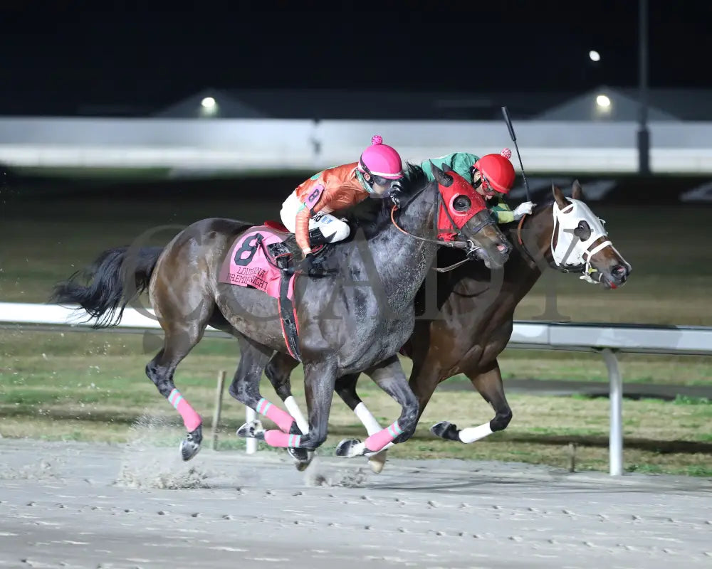 Sharp Charlie - La Bred Premier Ragin Cajun Starter 02-03-24 R11 Delta Downs Finish 2