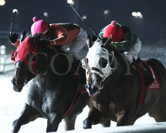 Sharp Charlie - La Bred Premier Ragin Cajun Starter 02-03-24 R11 Delta Downs Inside Finish