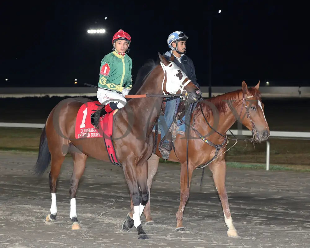 Sharp Charlie - La Bred Premier Ragin Cajun Starter 02-03-24 R11 Delta Downs Post Parade