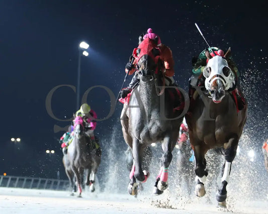 Sharp Charlie - La Bred Premier Ragin Cajun Starter 02-03-24 R11 Delta Downs Under Rail