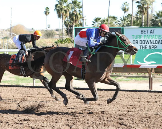 Sharp Lorenzo - Luke Kruytbosch Stakes 02-22-24 R05 Turf Paradise Finish