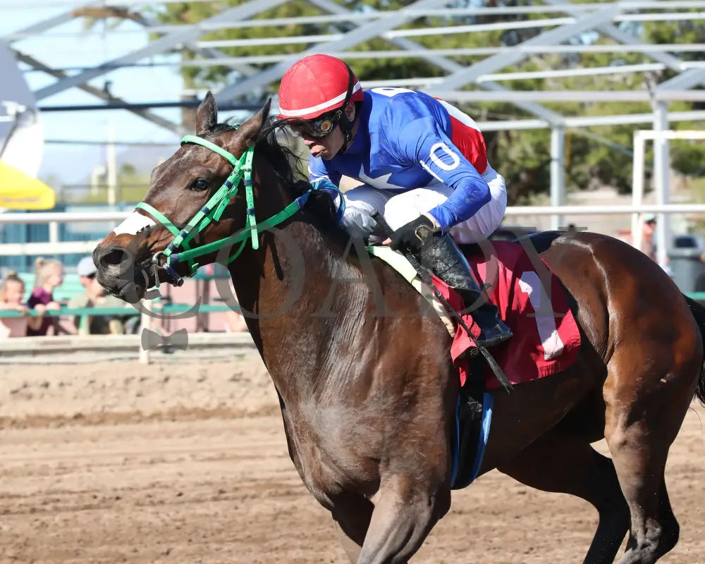 Sharp Lorenzo - Luke Kruytbosch Stakes 02-22-24 R05 Turf Paradise Inside Finish