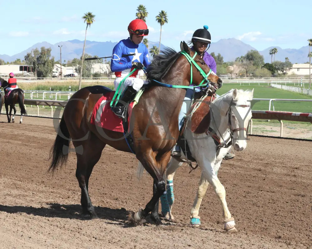 Sharp Lorenzo - Luke Kruytbosch Stakes 02-22-24 R05 Turf Paradise Post Parade