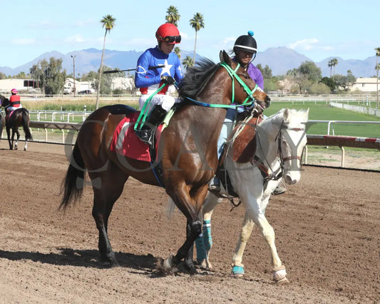 Sharp Lorenzo - Luke Kruytbosch Stakes 02-22-24 R05 Turf Paradise Post Parade