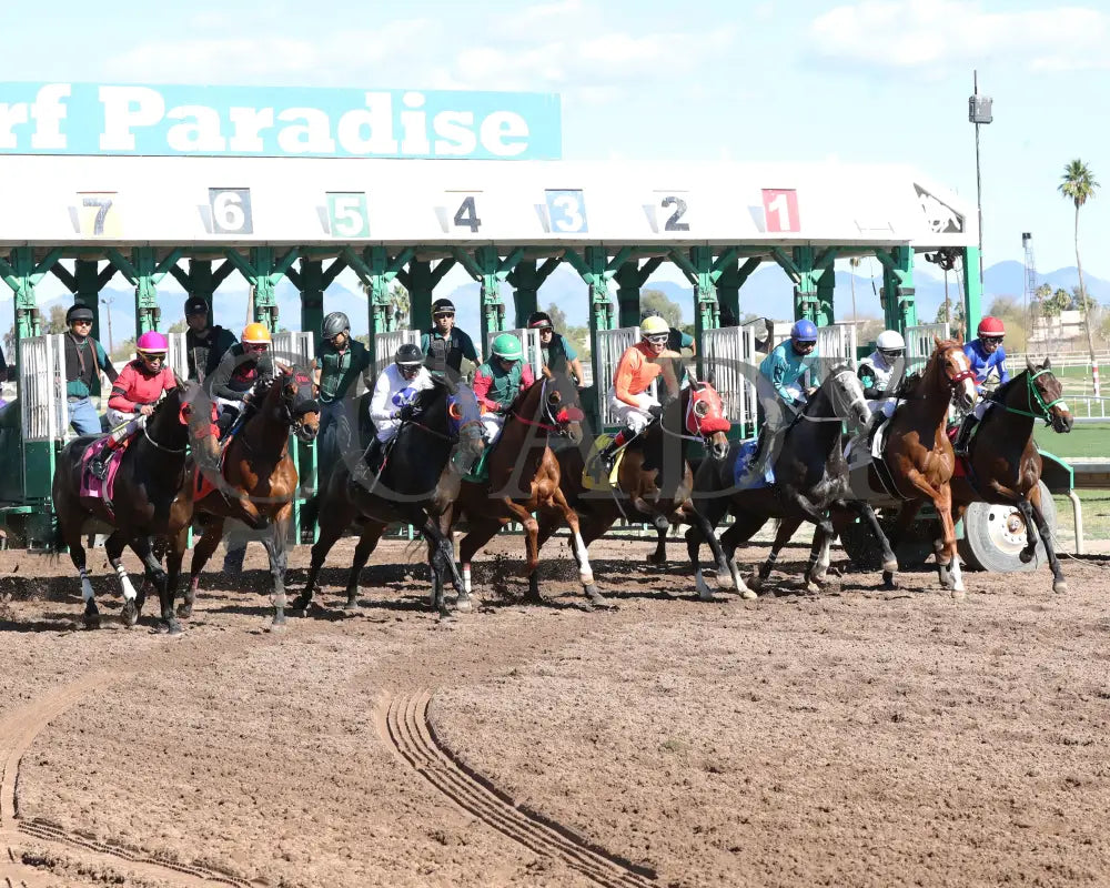 Sharp Lorenzo - Luke Kruytbosch Stakes 02-22-24 R05 Turf Paradise Starting Gate 2