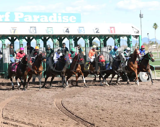 Sharp Lorenzo - Luke Kruytbosch Stakes 02-22-24 R05 Turf Paradise Starting Gate 2