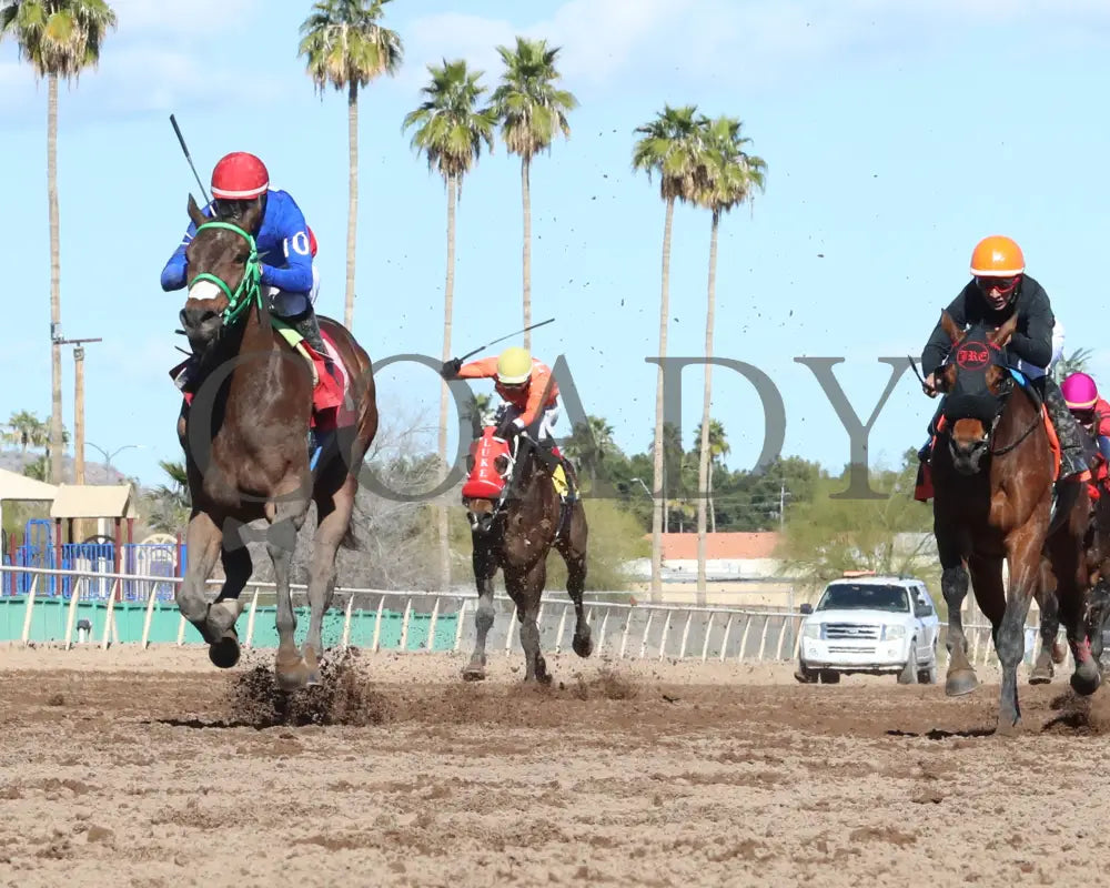 Sharp Lorenzo - Luke Kruytbosch Stakes 02-22-24 R05 Turf Paradise Under Rail