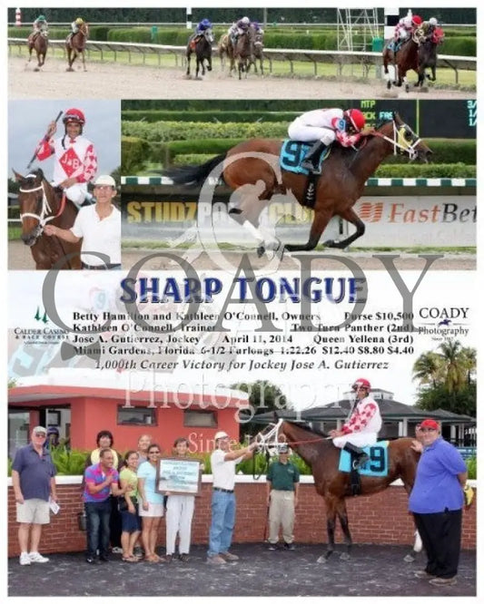 Sharp Tongue - 041114 Race 08 Crc Calder Course