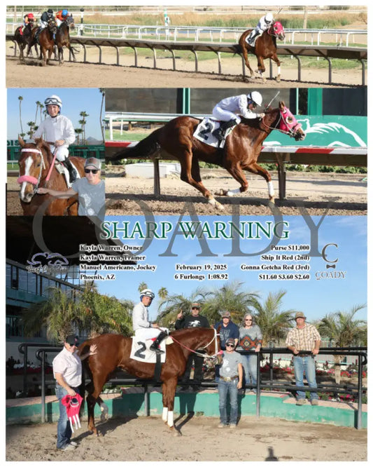 SHARP WARNING - 02-19-25 - R08 - TUP Turf Paradise