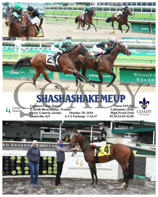 Shashashakemeup - 10-28-20 R06 Cd Churchill Downs