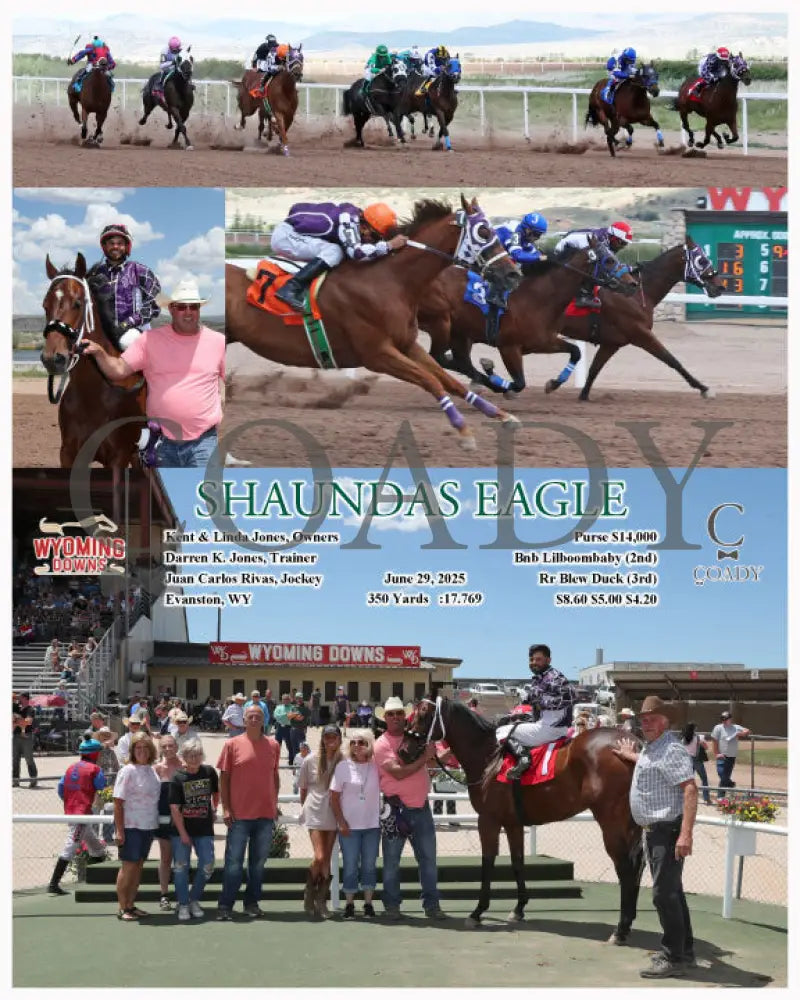 SHAUNDAS EAGLE - 06-29-25 - R03 - WYO Wyoming Downs